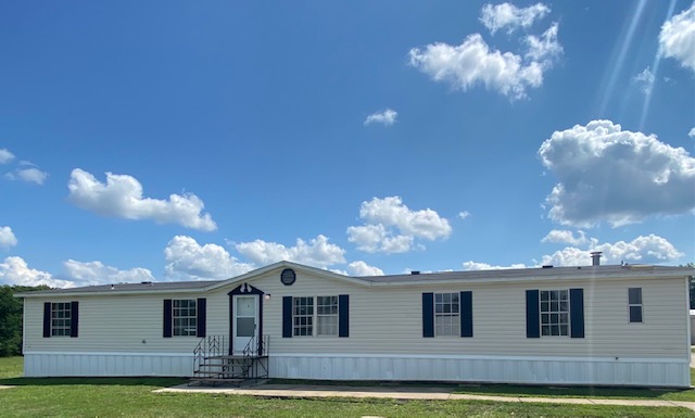36 Fir Tree